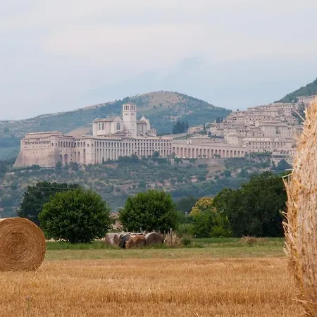 Διαμέρισμα Casolare Famiglia Grande Assisi Per Famiglie E Amici *
