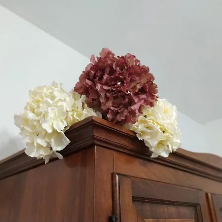 Апартаменты Casolare Famiglia Grande Assisi Per Famiglie E Amici