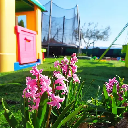 Casolare Famiglia Grande Assisi Per Famiglie E Amici Апартаменты