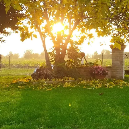 Casolare Famiglia Grande Assisi Per Famiglie E Amici Appartamento