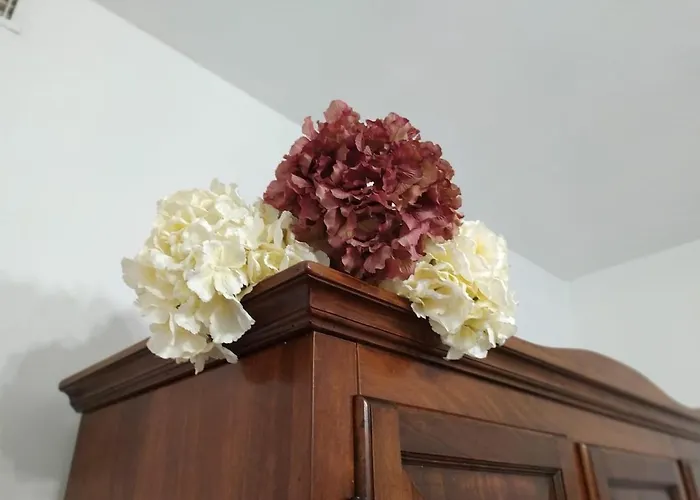 Apartment Casolare Famiglia Grande Assisi Per Famiglie E Amici