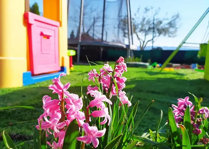 Casolare Famiglia Grande Assisi Per Famiglie E Amici Apartment